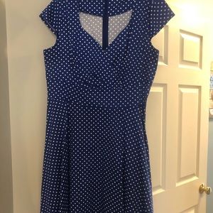 XXL Blue Dot Dress